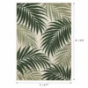 Palm leaf outdoor rug dimensions