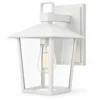White stainless steel outdoor wall lantern with clear glass